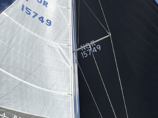Bavaria Cruiser 46 Style, 2018 mod