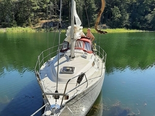 Delphia 29