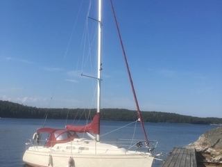 Delphia 29