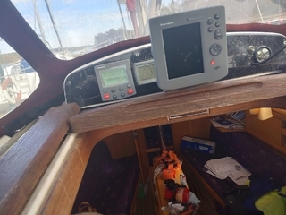 Delphia 29