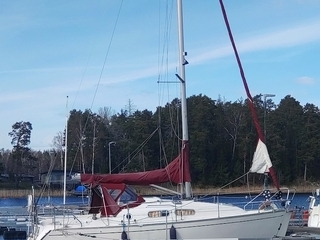 Delphia 29