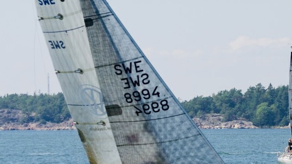 Diva 39 Silfverfågel